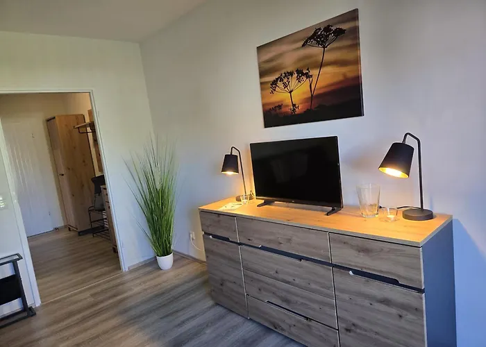 Ochsenkopf-apartment Апартаменты